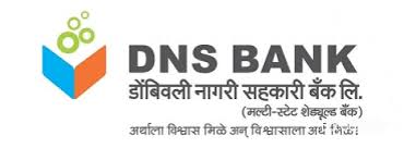 DNS Logo