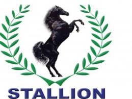 Stalion Global Logo