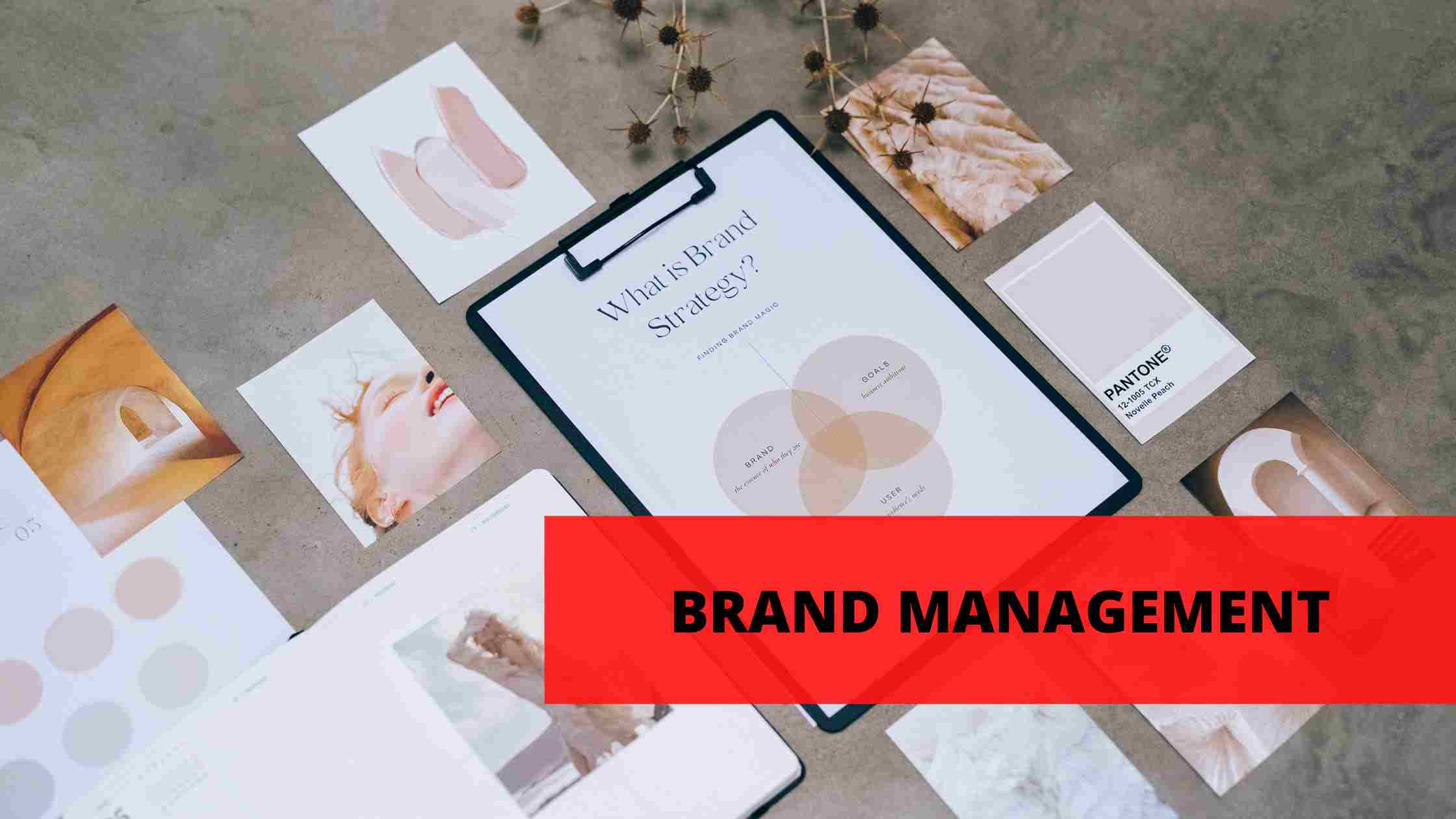 Brand Management