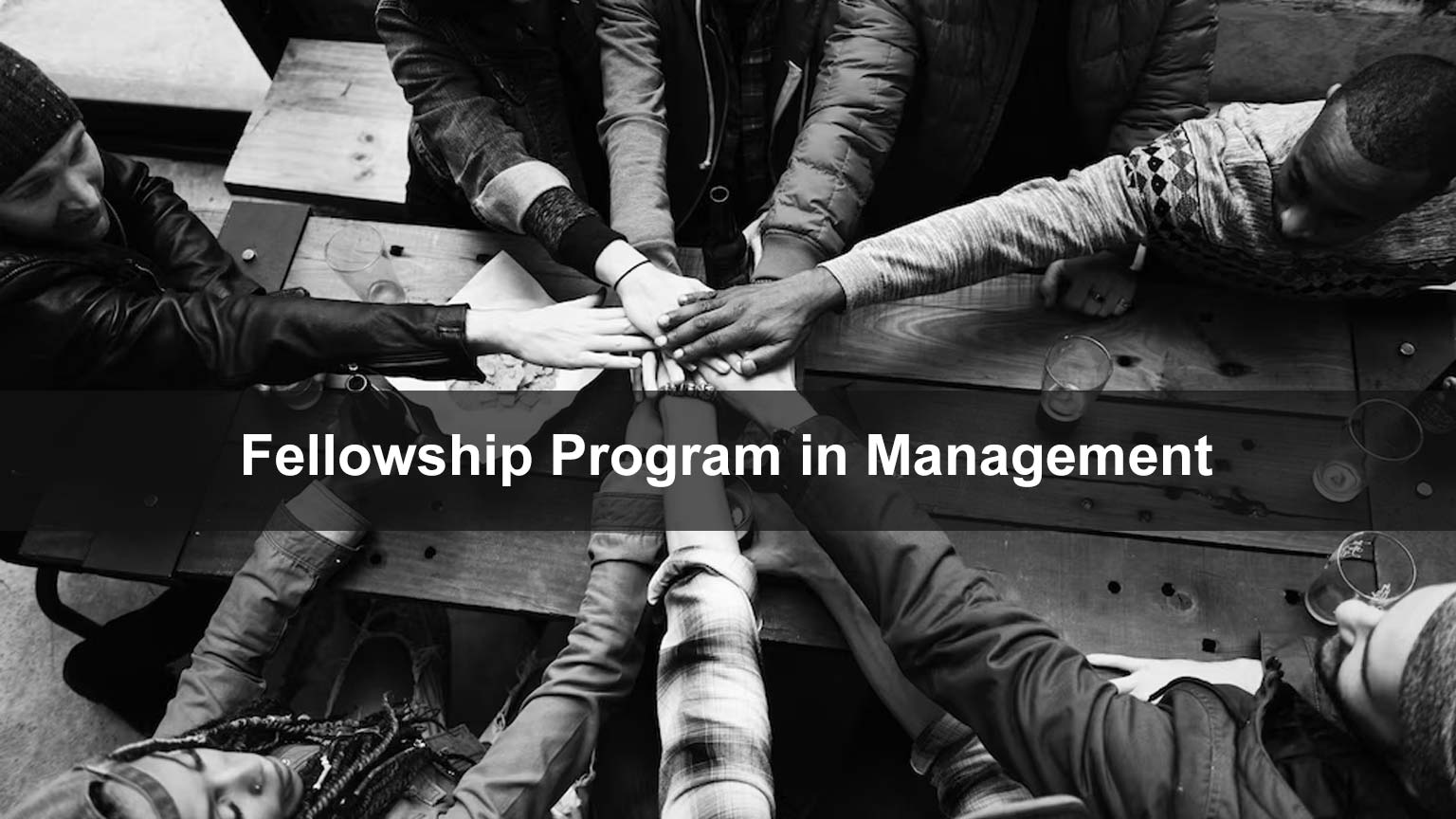 Fellowship Program in Management